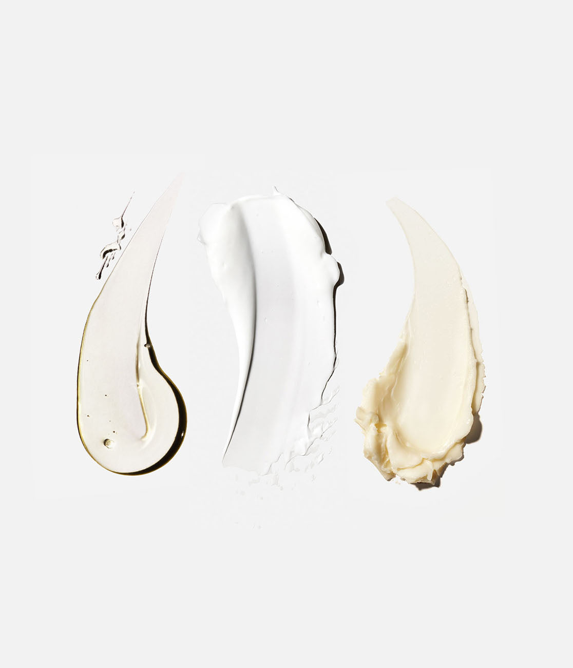 The Body Essentials - Image 15